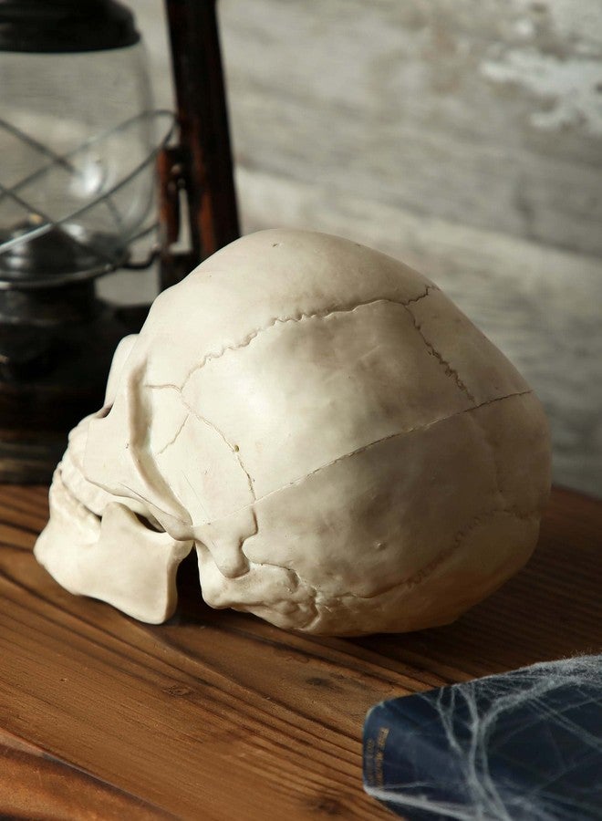 Crazy Bonez Skeleton Skull - Image 3